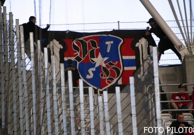 DSC_3667