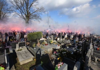 DSC_6446