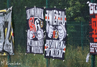 Lumii_20230626_152658521